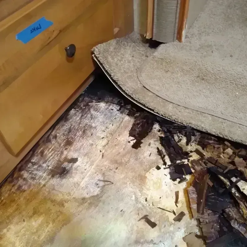 Wood Floor Water Damage in North East, MD